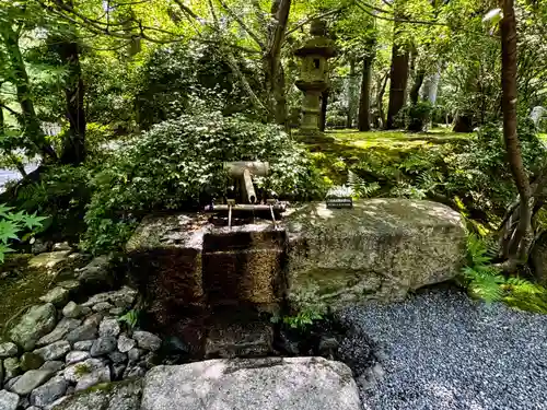 龍安寺(京都府)