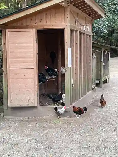 石上神宮(奈良県)