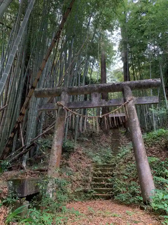 天崎神社(千葉県)