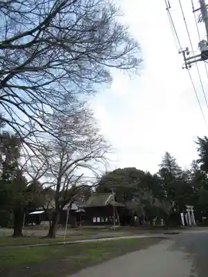 伏木香取神社(茨城県)