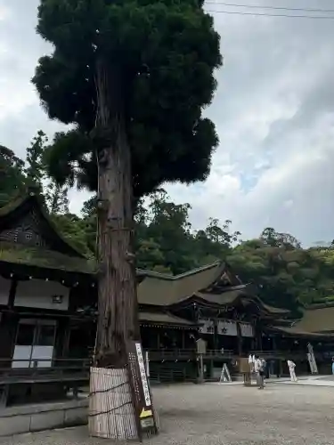 大神神社の{uncategorized: "未分類", other: "その他", undefined: "問題あり", building: "その他建物", grave: "お墓", sacred_gate: "鳥居", guardian: "狛犬", statue: "像", buddha: "仏像", history: "歴史", nature: "自然", garden: "庭園", animal: "動物", pagoda: "塔", temizu: "手水舎", mountain_gate: "山門・神門", sanctuary: "本殿・本堂", subordinate: "末社・摂社", art: "芸術", scenery: "景色", jizo: "地蔵", ema: "絵馬", goshuin: "御朱印", omikuji: "おみくじ", items: "授与品その他", amulet: "お守り", goshuincho: "御朱印帳", eats: "食事", festival: "お祭り", votive_dance: "神楽", shichigosan: "七五三参", wedding: "結婚式", experience: "体験その他", initially: "初詣", around: "周辺", anti_infection: "感染症対策"}