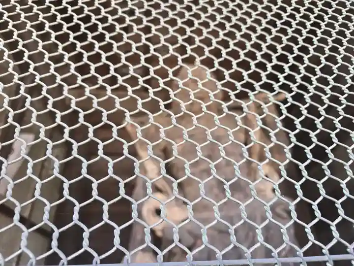 長谷寺(奈良県)