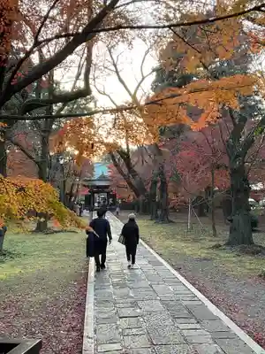 東漸寺(千葉県)