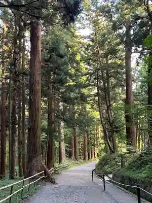 中尊寺(岩手県)