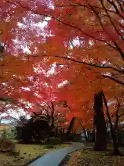 正樂寺(宮城県)