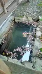 宝登山神社(埼玉県)