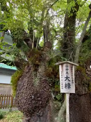 富知六所浅間神社(静岡県)