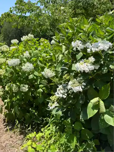 市杵島神社（高萩八幡宮境内社）(茨城県)