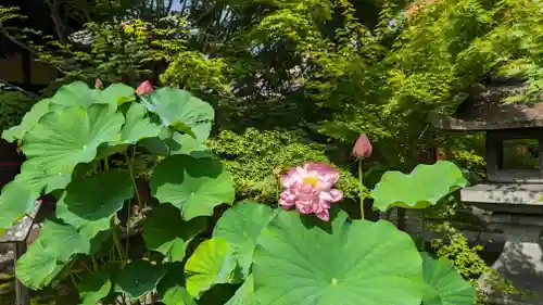 勝林寺(京都府)