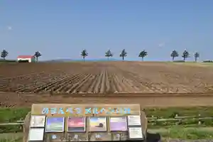 宝光寺の自然(2022年10月07日(金) 13時38分32秒投稿)