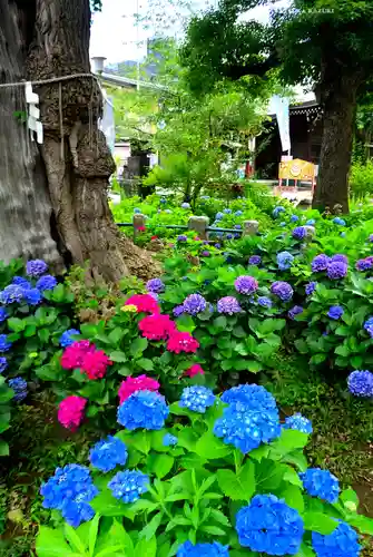 磐井神社(東京都)