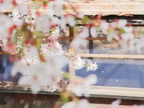 長建寺(京都府)