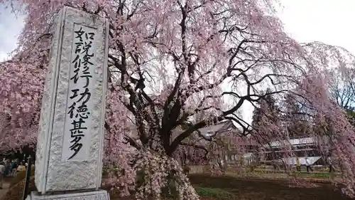 実相寺の自然