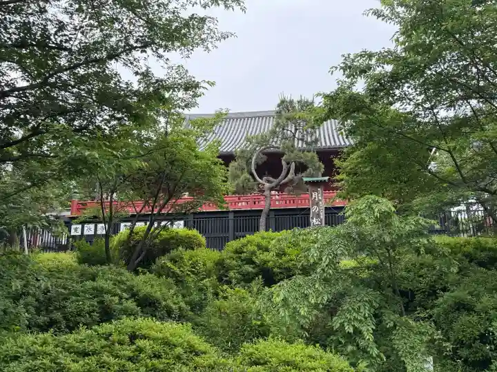 清水観音堂の{uncategorized: "未分類", other: "その他", undefined: "問題あり", building: "その他建物", grave: "お墓", sacred_gate: "鳥居", guardian: "狛犬", statue: "像", buddha: "仏像", history: "歴史", nature: "自然", garden: "庭園", animal: "動物", pagoda: "塔", temizu: "手水舎", mountain_gate: "山門・神門", sanctuary: "本殿・本堂", subordinate: "末社・摂社", art: "芸術", scenery: "景色", jizo: "地蔵", ema: "絵馬", goshuin: "御朱印", omikuji: "おみくじ", items: "授与品その他", amulet: "お守り", goshuincho: "御朱印帳", eats: "食事", festival: "お祭り", votive_dance: "神楽", shichigosan: "七五三参", wedding: "結婚式", experience: "体験その他", initially: "初詣", around: "周辺", anti_infection: "感染症対策"}