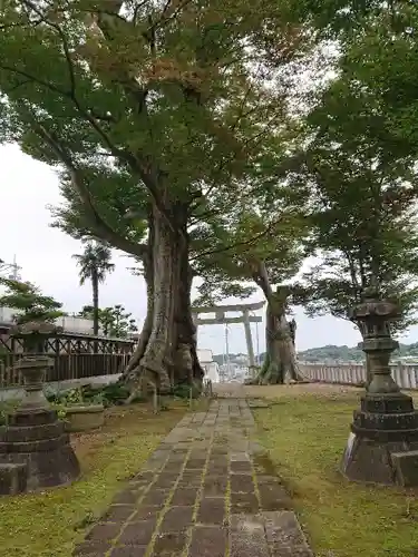 若宮八幡宮の鳥居