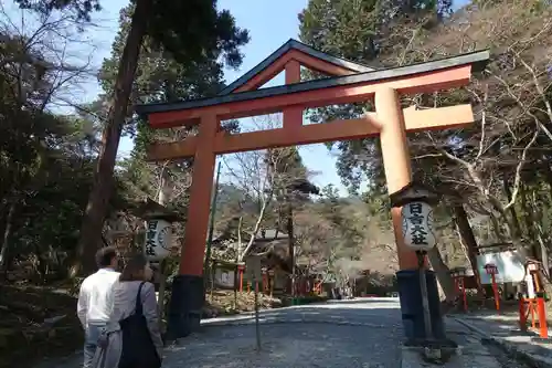 日吉大社の鳥居