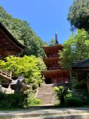 長命寺の{uncategorized: "未分類", other: "その他", undefined: "問題あり", building: "その他建物", grave: "お墓", sacred_gate: "鳥居", guardian: "狛犬", statue: "像", buddha: "仏像", history: "歴史", nature: "自然", garden: "庭園", animal: "動物", pagoda: "塔", temizu: "手水舎", mountain_gate: "山門・神門", sanctuary: "本殿・本堂", subordinate: "末社・摂社", art: "芸術", scenery: "景色", jizo: "地蔵", ema: "絵馬", goshuin: "御朱印", omikuji: "おみくじ", items: "授与品その他", amulet: "お守り", goshuincho: "御朱印帳", eats: "食事", festival: "お祭り", votive_dance: "神楽", shichigosan: "七五三参", wedding: "結婚式", experience: "体験その他", initially: "初詣", around: "周辺", anti_infection: "感染症対策"}