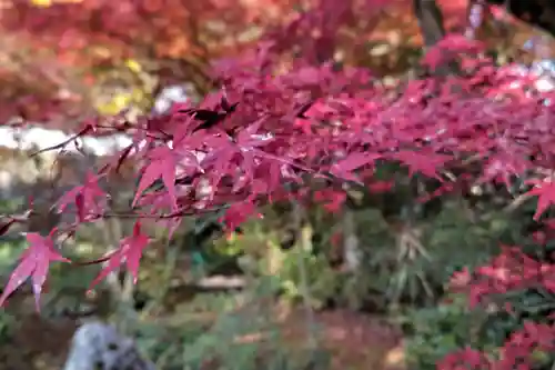 円興寺(岐阜県)