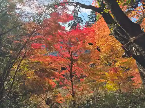 観心寺(大阪府)