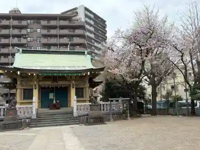 白髭神社(東京都)