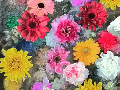 札幌諏訪神社の手水舎