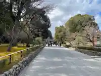 鹿苑寺(金閣寺)(京都府)