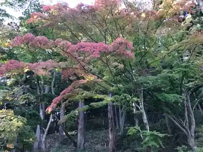 毛越寺(岩手県)