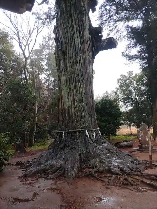 松山神社(千葉県)