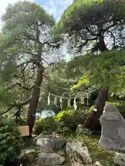 宝登山神社(埼玉県)