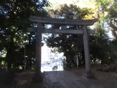 代々木八幡宮(東京都)