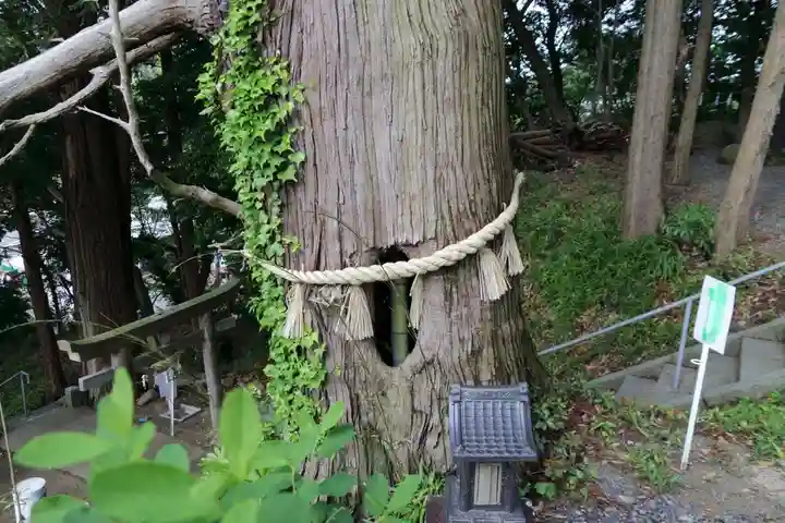 阿久津「田村神社」(郡山市阿久津町)旧社名:伊豆箱根三嶋三社の自然