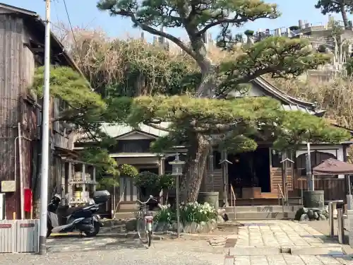 本成寺(神奈川県)
