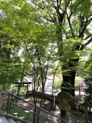 五所神社(神奈川県)