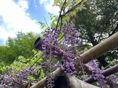 佐野原神社(静岡県)