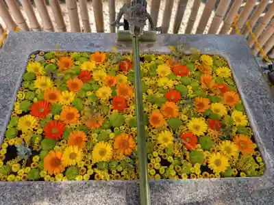 高円寺氷川神社(東京都)