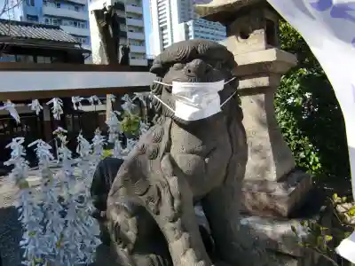 白鬚神社の狛犬