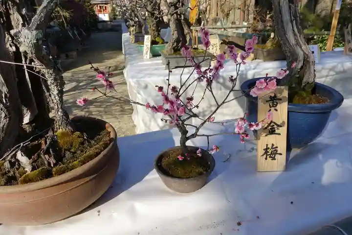 菅原天満宮(菅原神社)のその他建物