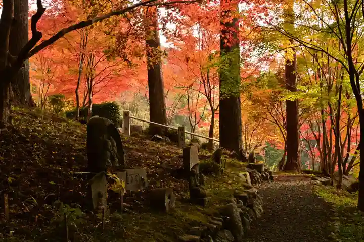 金剛寺(高知県)