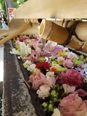 鳩森八幡神社(東京都)