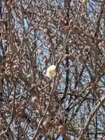 石内のお大師さん 金剛院(広島県)