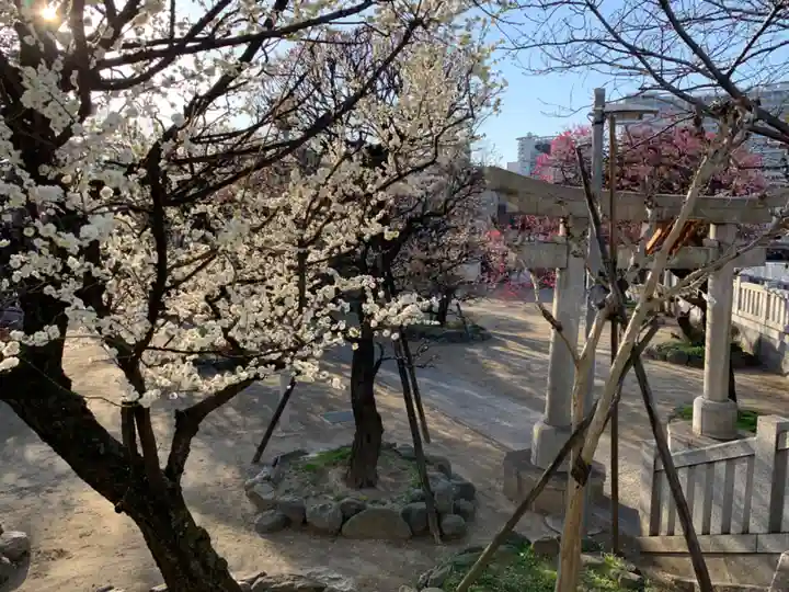 北野神社の自然