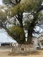 船守神社(大阪府)