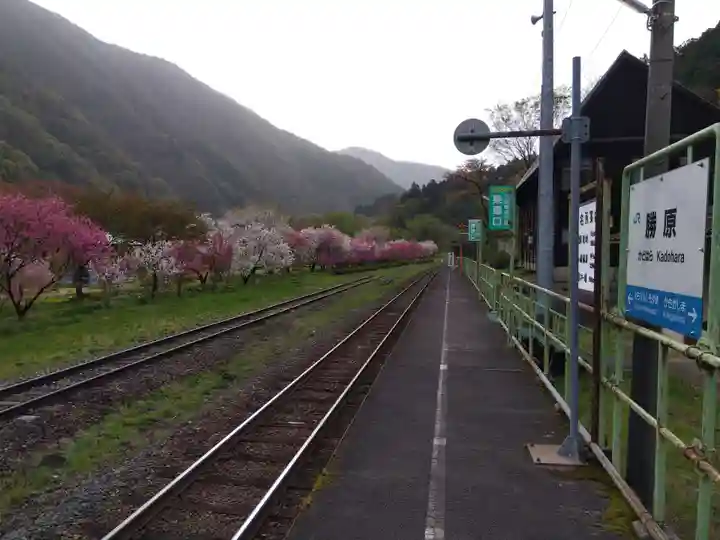 八幡神社(福井県)