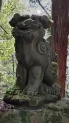 白山比咩神社の狛犬