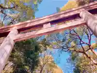 明治神宮の鳥居