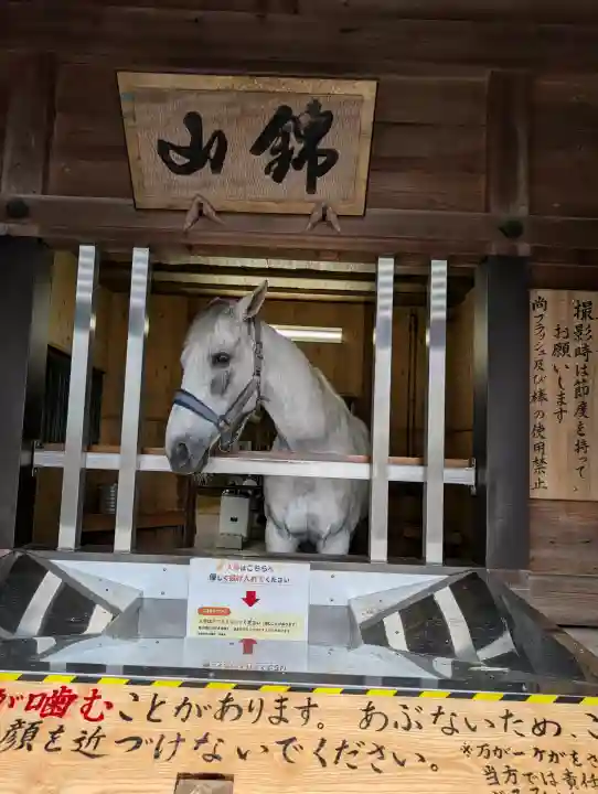 多度大社(三重県)