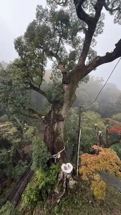 笠森寺(千葉県)