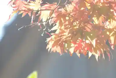 仁和寺(京都府)