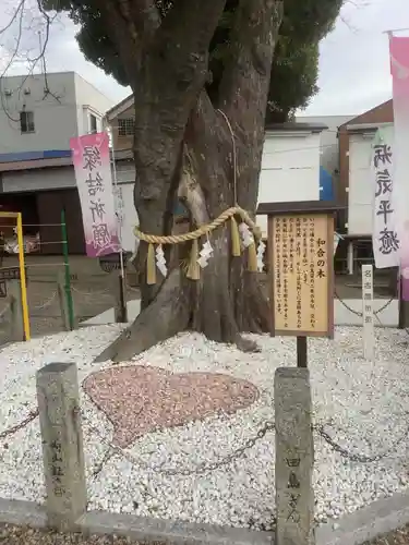 田光八幡社の庭園