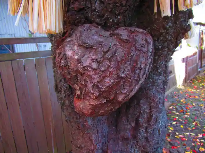 小室浅間神社(山梨県)